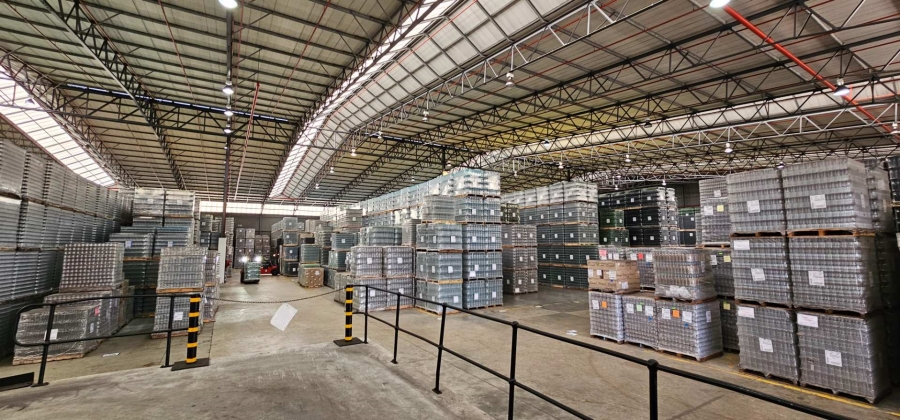 To Let commercial Property for Rent in Parow Industrial Western Cape